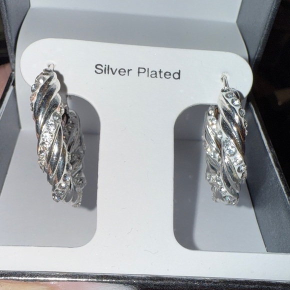 And Now This Twisted Silver Plated Earrings - Picture 3 of 6